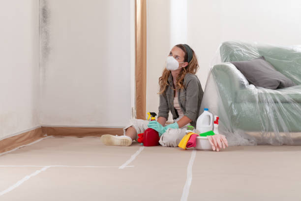 Reliable Black Mold Remediation contractor in Glendale, KY by Mold Remediation HQ
